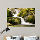 Creek Wall Decal