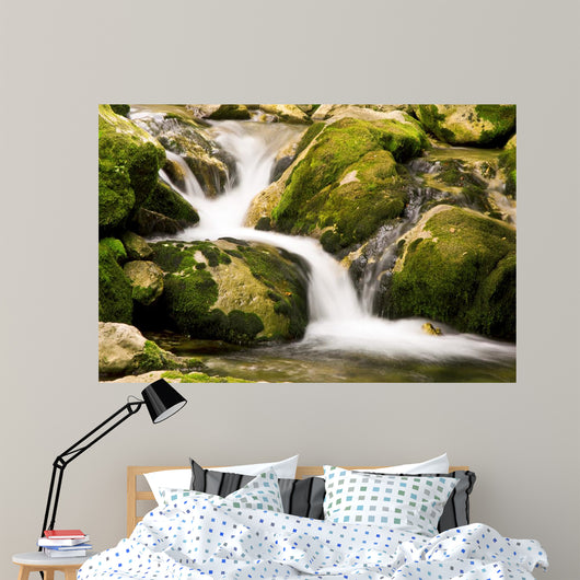 Creek Wall Decal