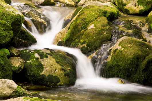 Creek Wall Decal
