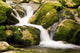 Creek Wall Decal