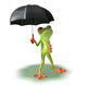 Frog Afraid Rain Wall Decal