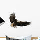 Landing Eagle Wall Decal