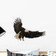 Landing Eagle Wall Decal