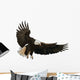 Landing Eagle Wall Decal
