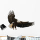 Landing Eagle Wall Decal
