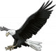 Attack Eagle Wall Decal