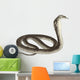 Cobra Sketch Illustration Wall Decal