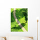 Path in a Green Field Wall Decal