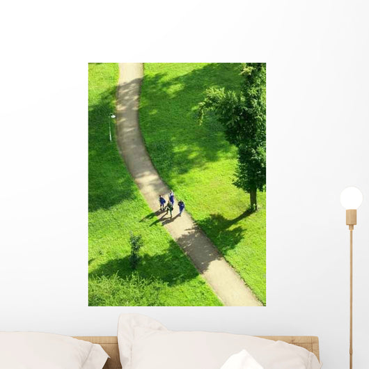 Path in a Green Field Wall Decal