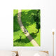 Path in a Green Field Wall Decal