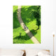 Path in a Green Field Wall Decal