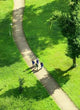 Path in a Green Field Wall Decal