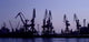 Cranes Night Wall Decal