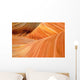 The Wave Arizona Close-up Wall Decal