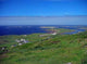 Connemara Landscape Wall Decal