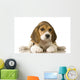 Beagle Puppy Back Legs Spread Wall Decal