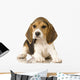 Beagle Puppy Laying Down Wall Decal