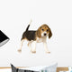 Beagle Puppy Wall Decal