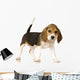 Beagle Puppy Wall Decal
