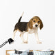 Beagle Puppy Wall Decal