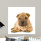 Sharpei Puppy Laying Down Wall Decal