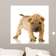 Sharpei Puppy Wall Decal