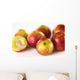 Camu Camu Berry Fruits Wall Decal