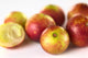 Camu Camu Berry Fruits Wall Decal