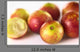 Camu Camu Berry Fruits Wall Decal