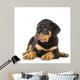 Rottweiler Puppy Laying Down Wall Decal