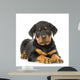 Rottweiler Puppy Wall Decal