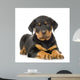 Rottweiler Puppy Wall Decal