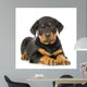 Rottweiler Puppy Wall Decal