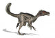 Velociraptor Dinosaur Wall Decal