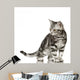 British Shorthair Cat Wall Decal