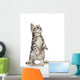 British Shorthair Cat Standing on Hind Legs Wall Decal