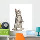British Shorthair Cat Standing on Hind Legs Wall Decal