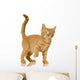 Ginger Cat Kitten Wall Decal