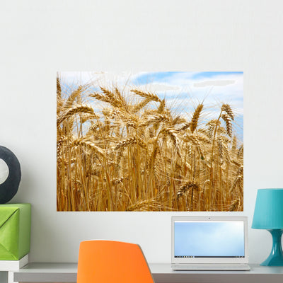 Nice Summery Grain Field Wall Decal shown on a wall
