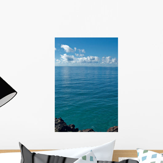Image Looking out from Wall Decal