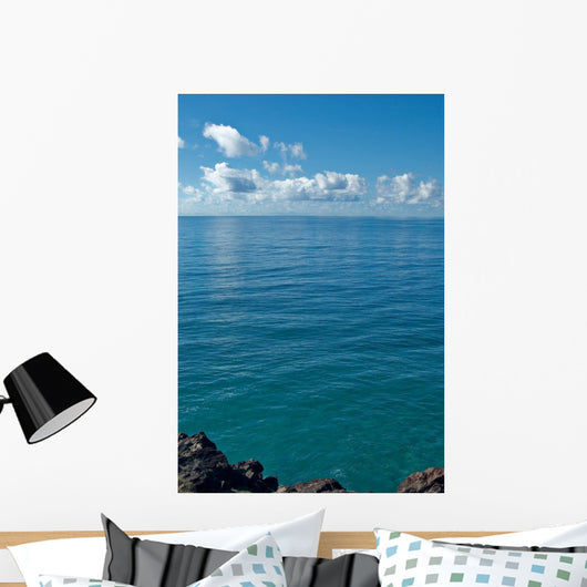 Image Looking out from Wall Decal