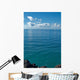 Image Looking out from Wall Decal