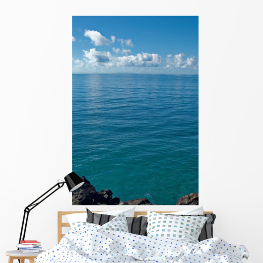 Image Looking out from Wall Decal
