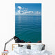 Image Looking out from Wall Decal