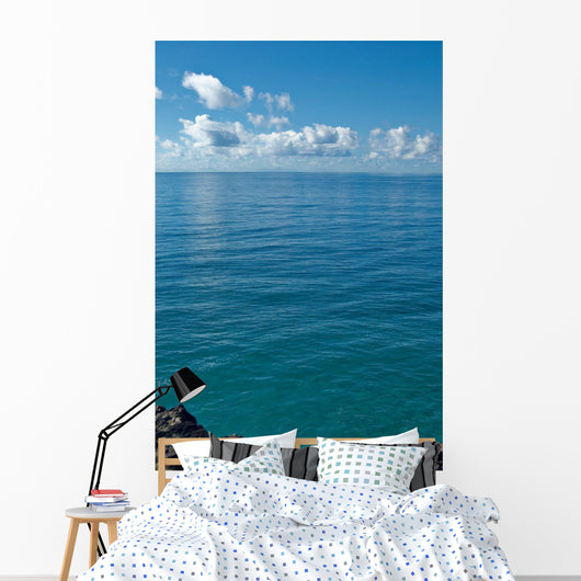Image Looking out from Wall Decal