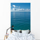 Image Looking out from Wall Decal