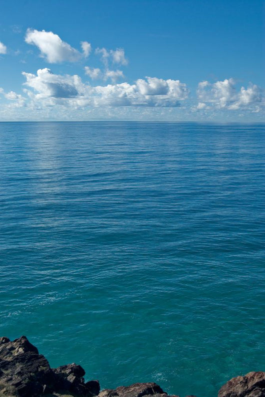 Image Looking out from Wall Decal