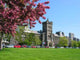 University Toronto Flowering Crabapple Wall Decal