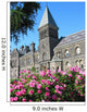 University Toronto Rose Garden Wall Decal