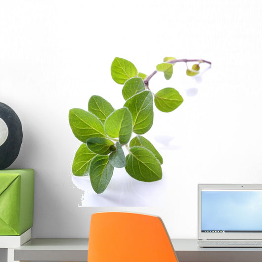 Fresh Oregano Sprig Reflected Wall Decal
